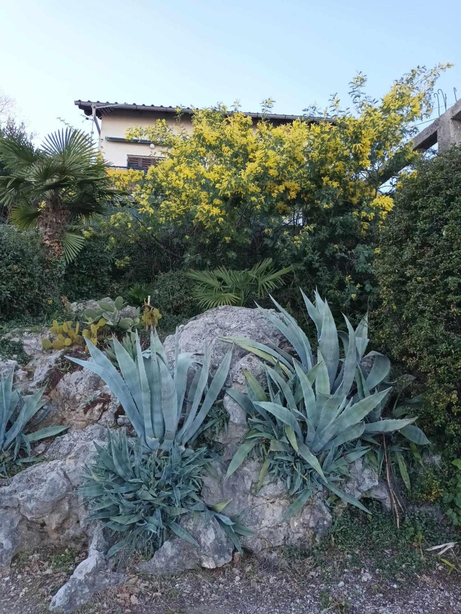 Apartment Relax 奥帕提亚 外观 照片